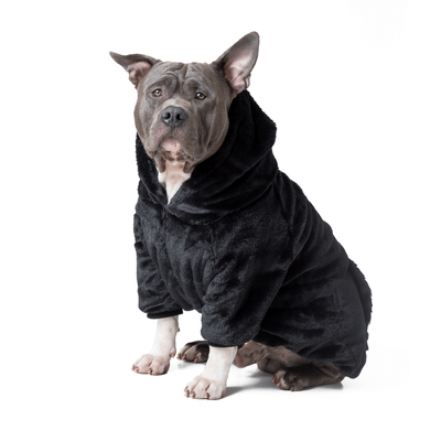 Vestuário para cachorro e gato