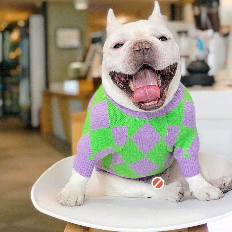 Roupinha Pet Suéter Roxo para Cães