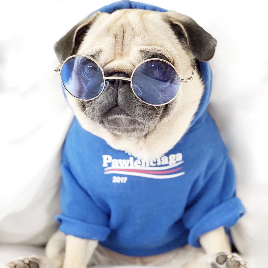 Roupa para Cachorro Casaco Pawlenciaga de Algodão