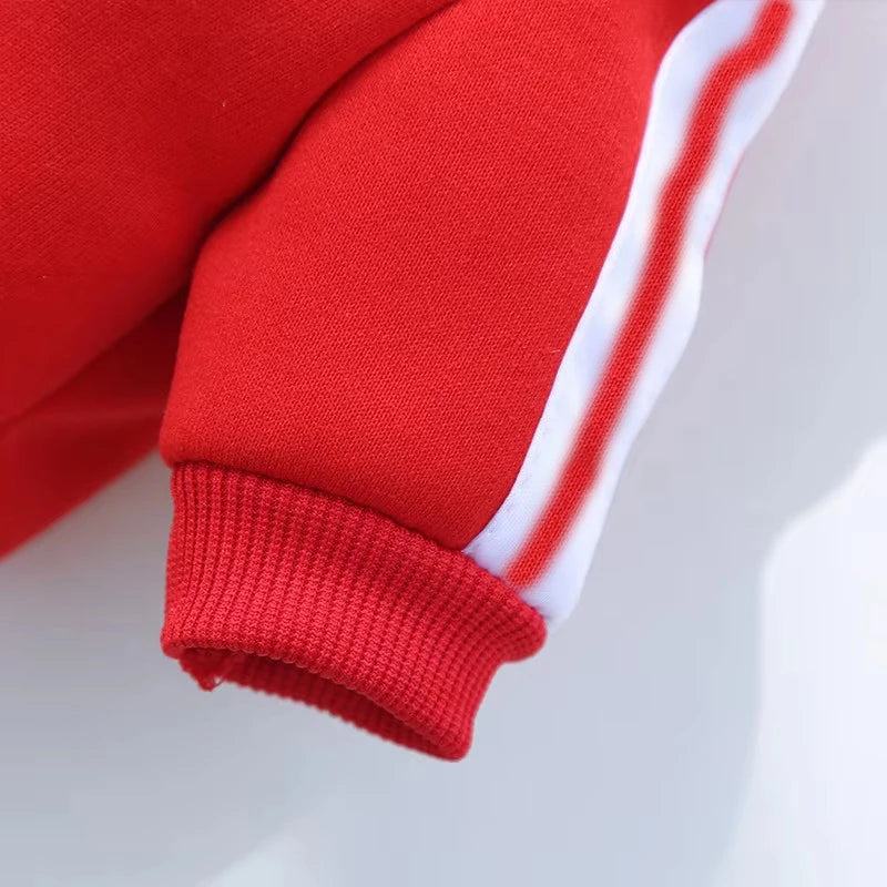 Jaqueta para Cachorro Adidog com zíper - Roupa Pet Inverno