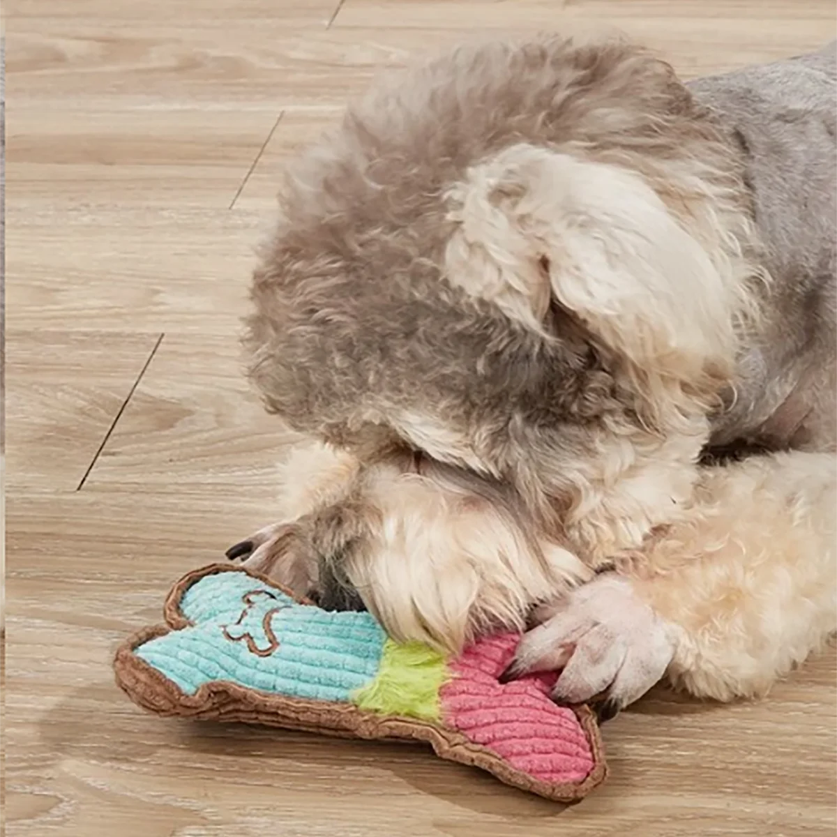 Brinquedo para Cachorro Osso de Pelúcia Interativo
