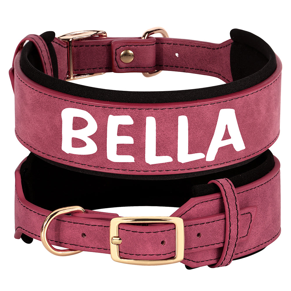 Coleira de Couro Personalizada para Cachorro - Coleira de Identificação