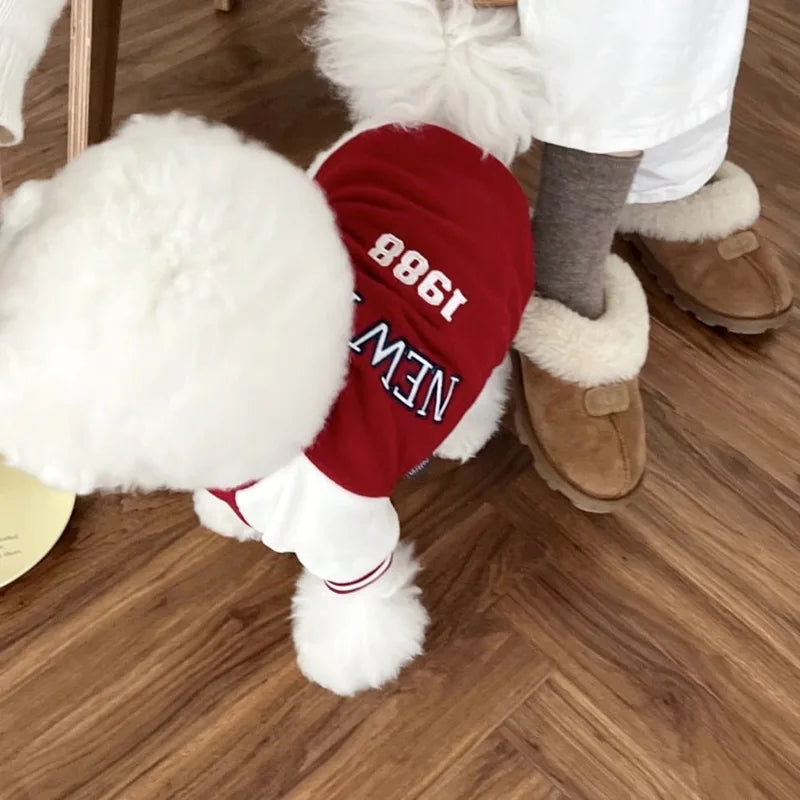 Suéter Moletom para Cachorro New York - Roupa Pet de Inverno