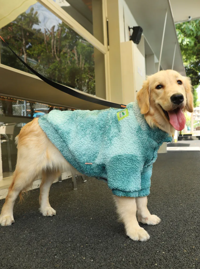 Casaco de Inverno para Cachorros Grandes de Lã - Roupinha Pet de Inverno