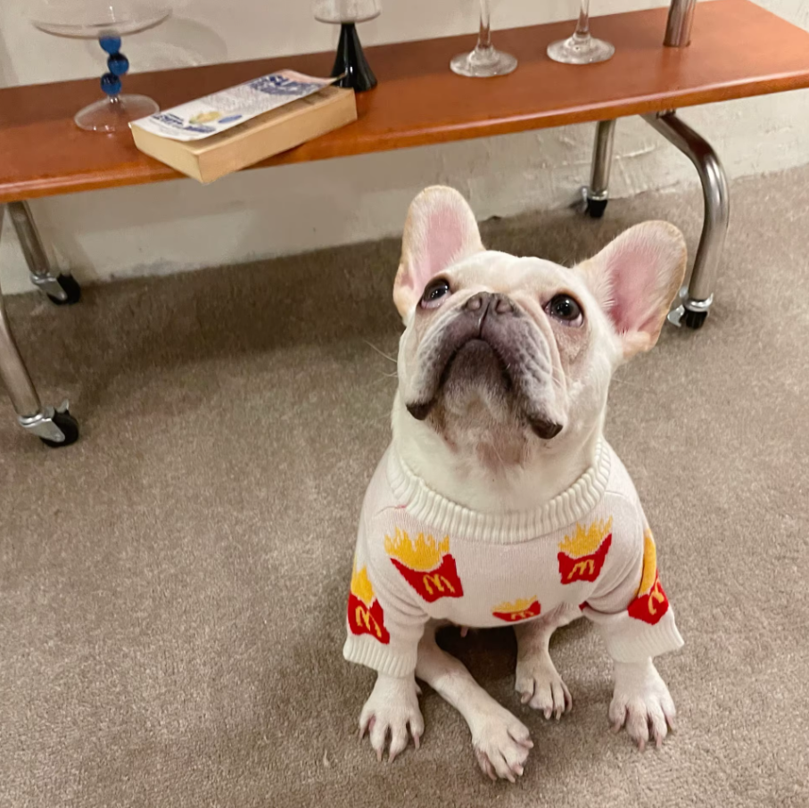 Roupinha de Batatas Fritas para Cachorro Pequeno – Casaco Quentinho de Algodão