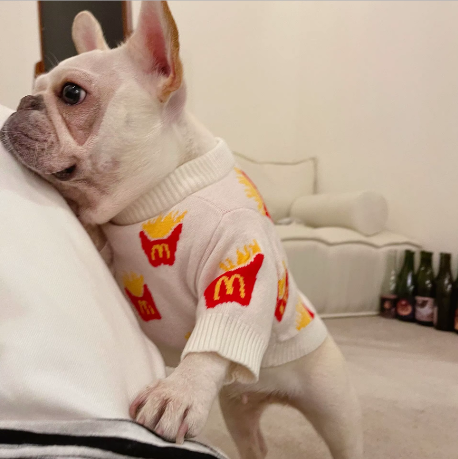 Roupinha de Batatas Fritas para Cachorro Pequeno – Casaco Quentinho de Algodão