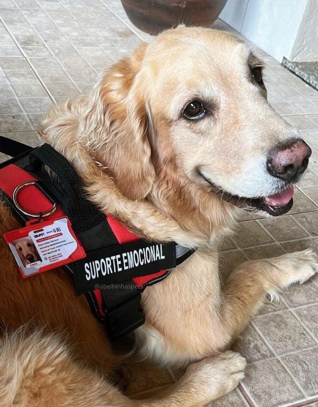 Coleira Peitoral Personalizada para Cães de Suporte Emocional