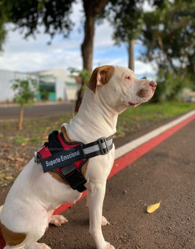 Coleira Peitoral Personalizada para Cães de Suporte Emocional
