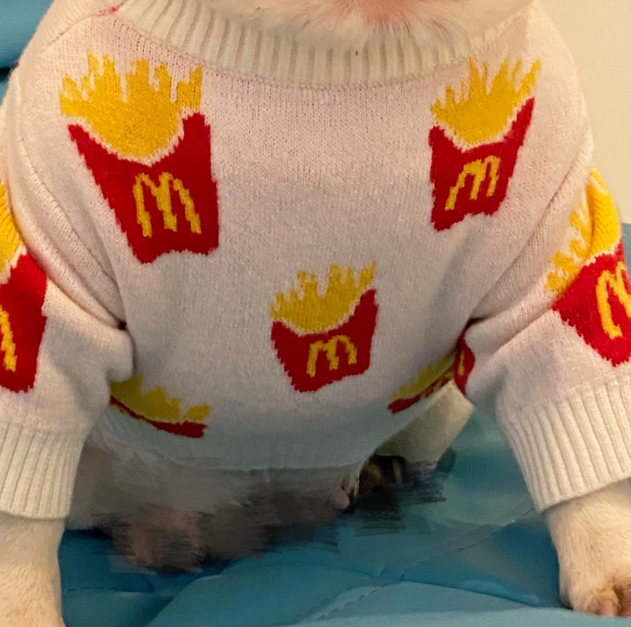 Roupinha de Batatas Fritas para Cachorro Pequeno – Casaco Quentinho de Algodão