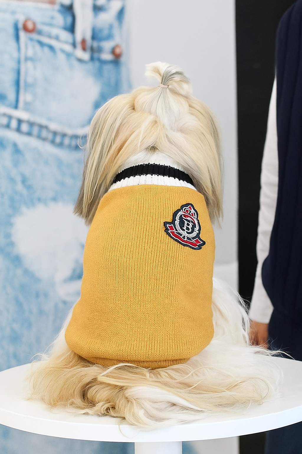 Suéter de Inverno para Cachorros e Gatos - Roupa Pet em Algodão