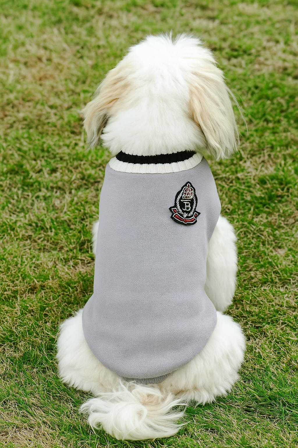 Suéter de Inverno para Cachorros e Gatos - Roupa Pet em Algodão