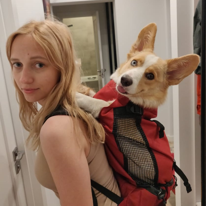 Mochila de Transporte pra Cachorro e Gatos