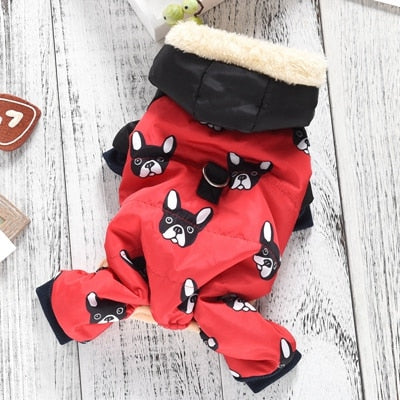 Roupa Pet Conjunto Inverno estampa de Bulldog