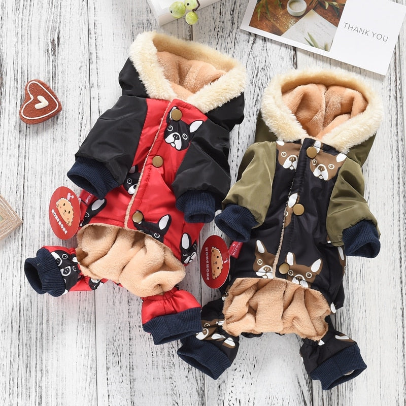 Roupa Pet Conjunto Inverno estampa de Bulldog