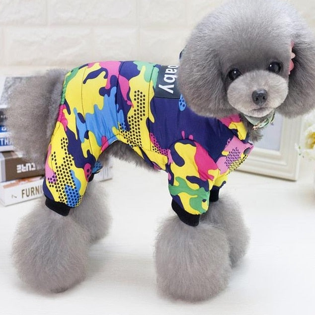 Roupa Pet Conjunto de Moletom DogBaby