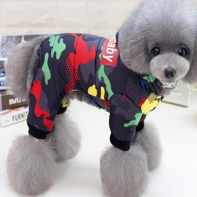 Roupa Pet Conjunto de Moletom DogBaby