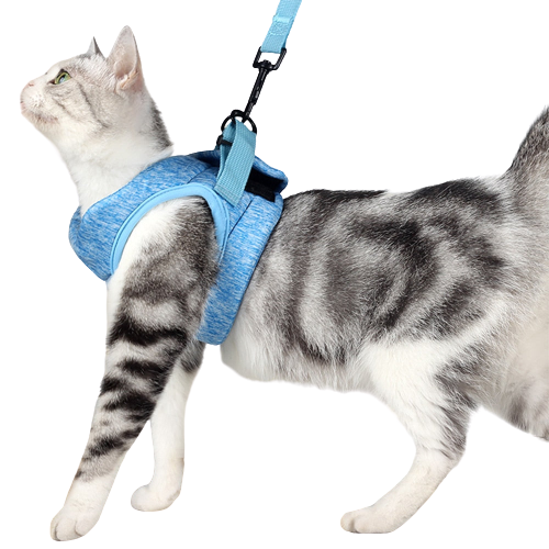 Peitoral pra Gatos acompanha Guia