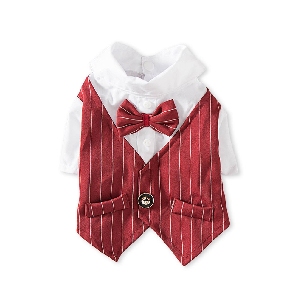 Roupa Pet Camisa Social com colete e gravata