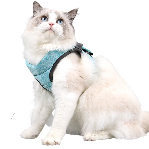 Peitoral pra Gatos acompanha Guia
