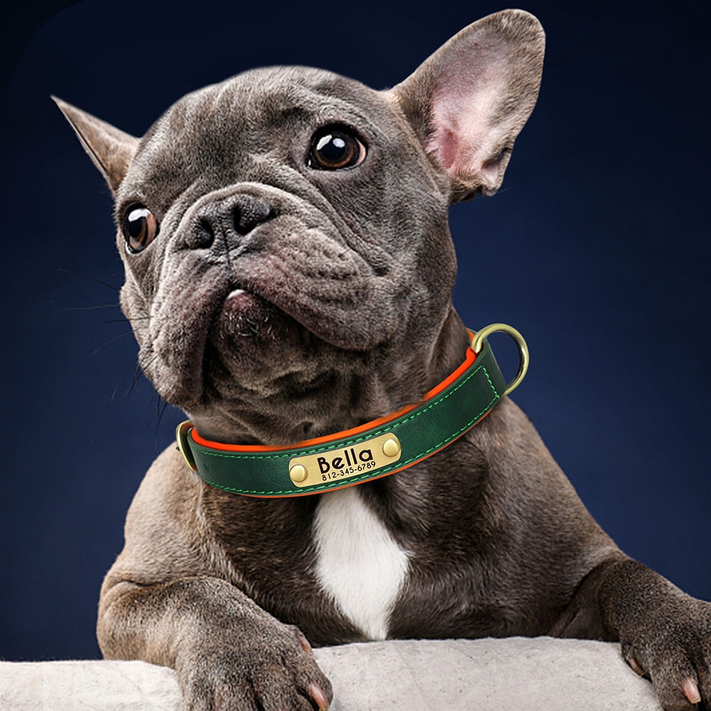 Coleira Personalizada de Identificação para Cães e Gatos de Couro