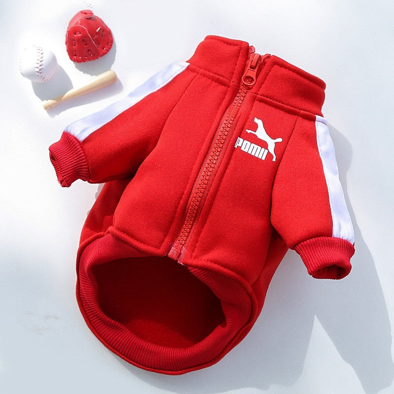 Roupa para Cachorro Jaqueta Pomii