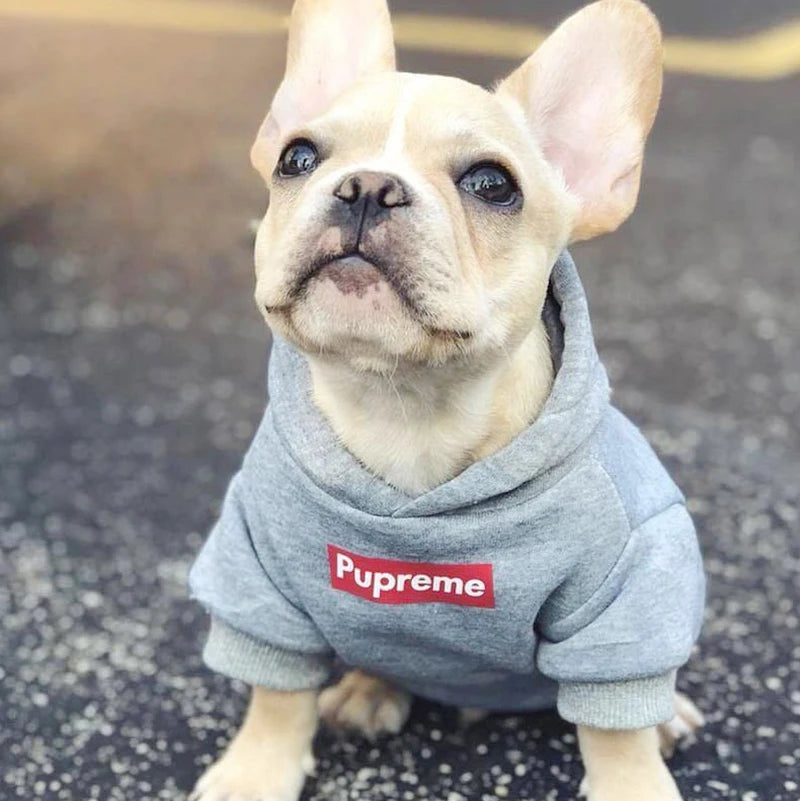 Roupa para Cachorro Casaco Pupreme de Algodão