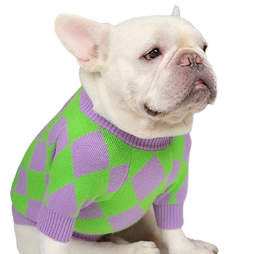 Roupinha Pet Suéter Roxo para Cães