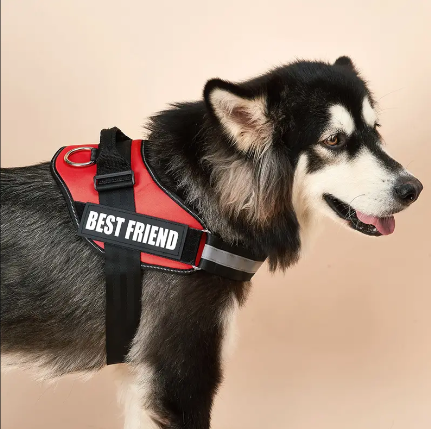 Peitoral Personalizado pra Cachorro - Forte e resistente