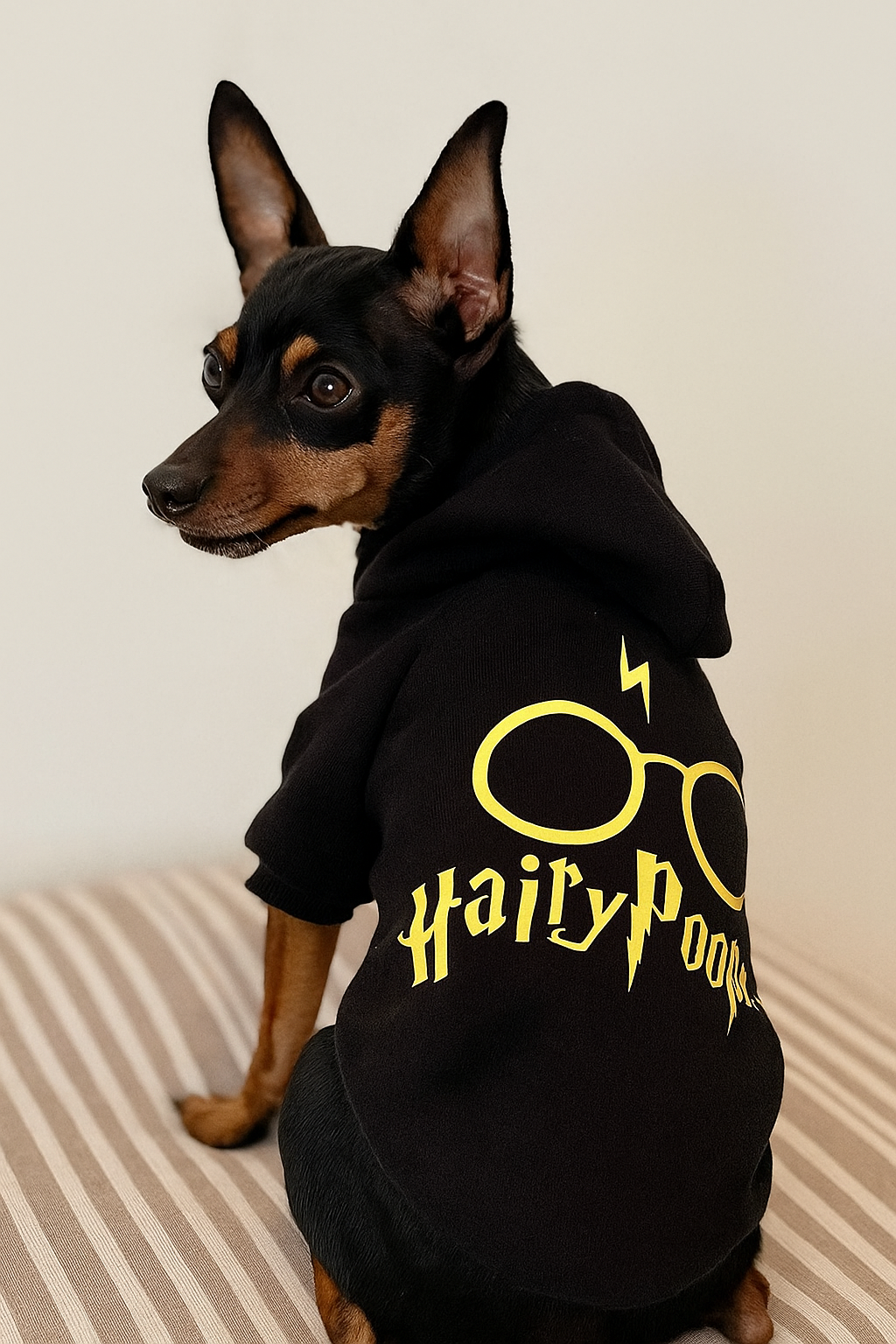 Roupa para Cachorro Hairy Pooper com capuz - Roupa Pet de Inverno