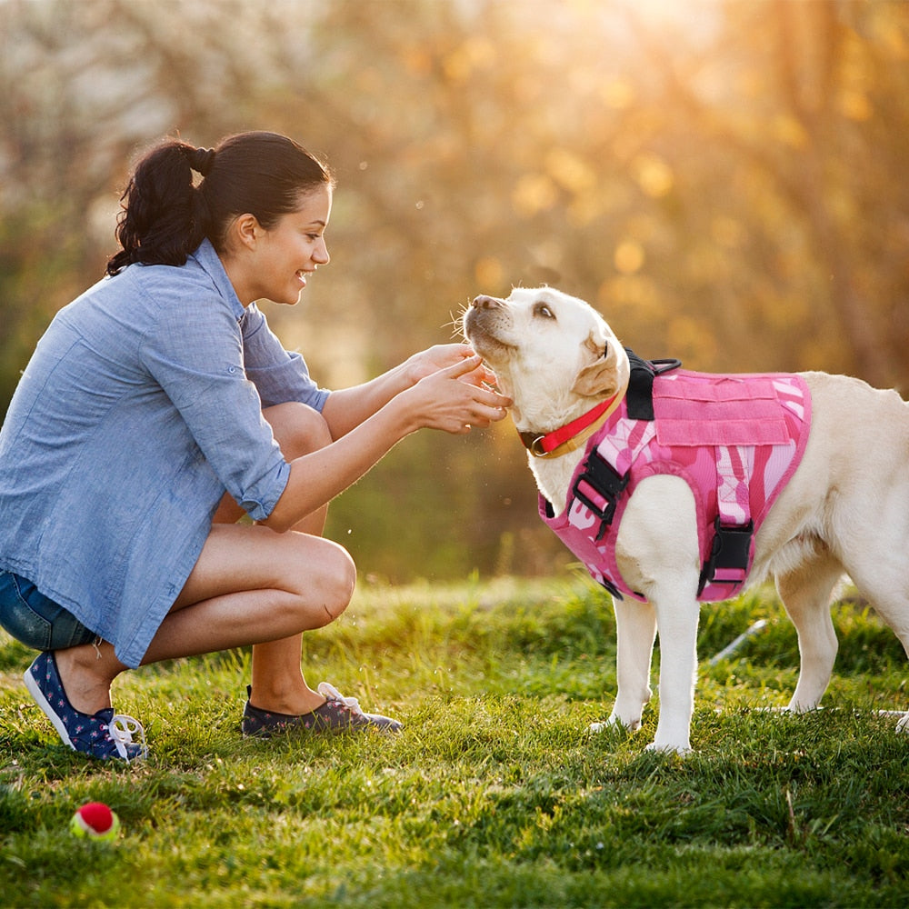 Peitoral para Cachorro Tático Resistente Camuflado Rosa
