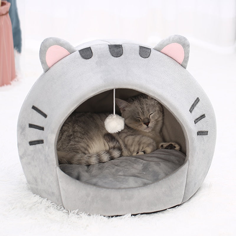 Cama e Brinquedo para Gatos Confortável - Caminha 2 em 1