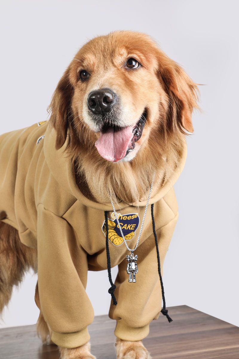 Roupa para Cachorro Casaco com Capuz