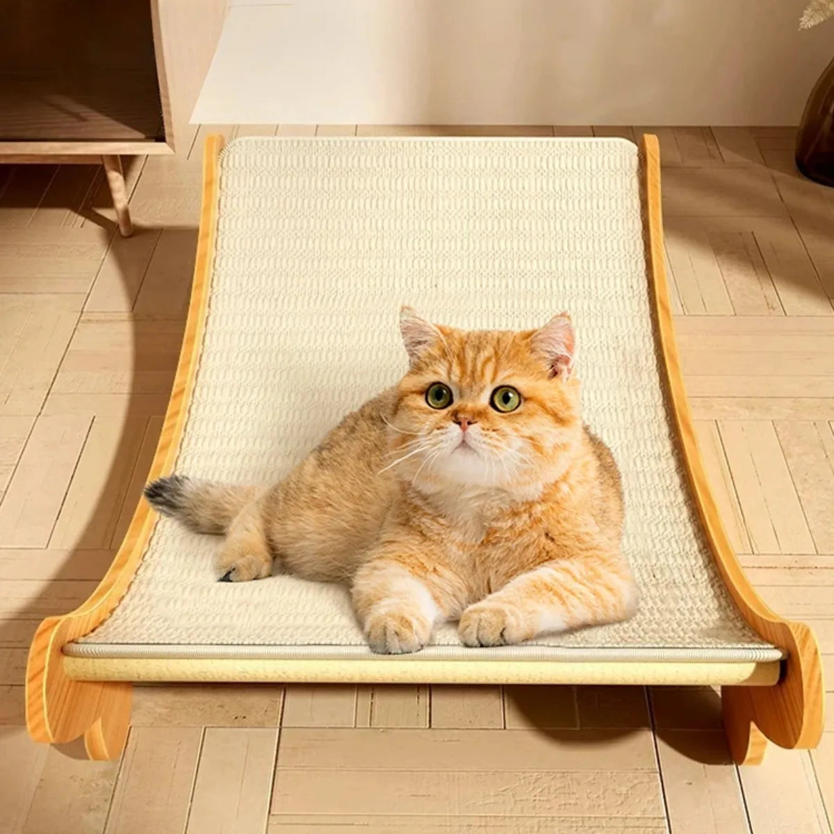 Arranhador para Gatos de madeira - cama multifuncional