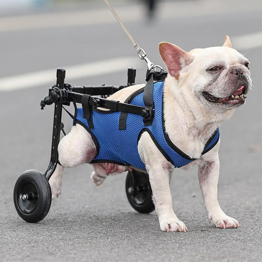 Cadeira de Rodas para Cachorros Pequenos - Apoio de Reabilitação para Pets