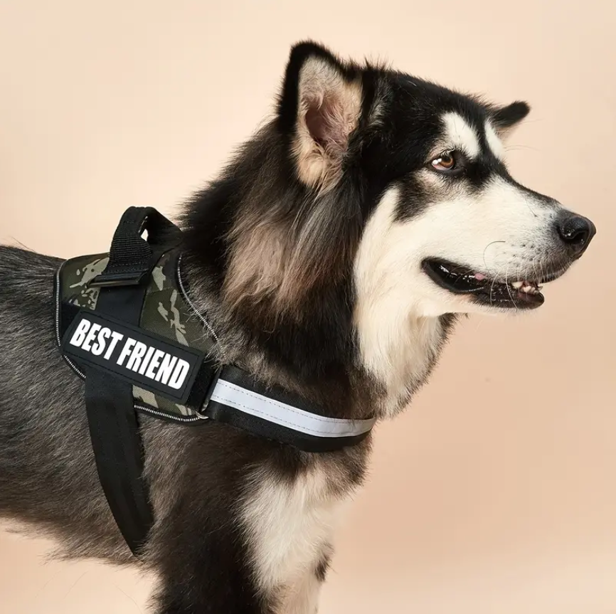 Peitoral Camuflado Personalizado e Reforçado para Cães