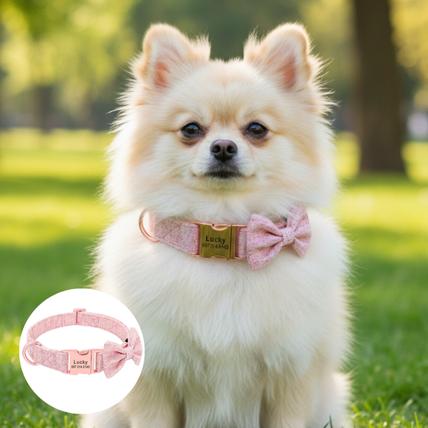 Coleira Personalizada de Luxo para Cães e Gatos | Coleira de Identificação