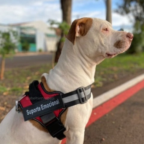 Coleira Peitoral Personalizada para Cães de Suporte Emocional