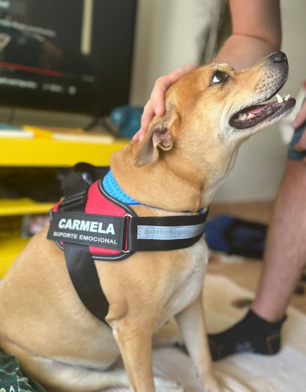 Coleira Peitoral Personalizada para Cães de Suporte Emocional