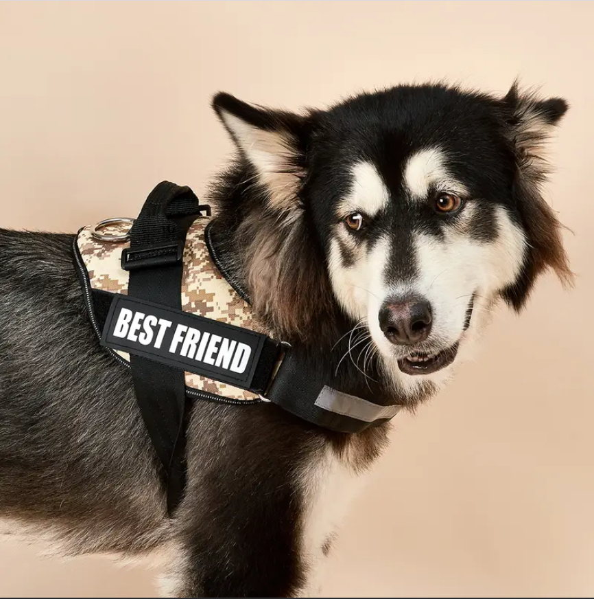Peitoral Camuflado Personalizado e Reforçado para Cães