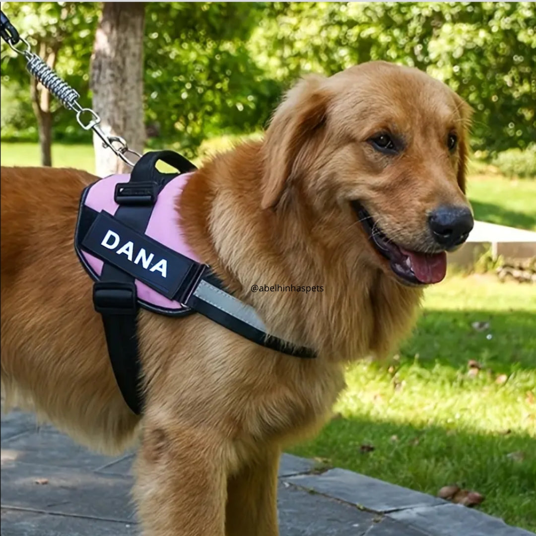 coleira para cachorro