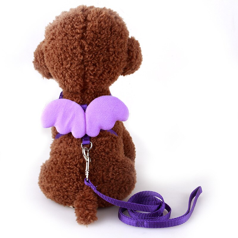 Peitoral Anjinho para Gato e cachorro - Kit com Guia