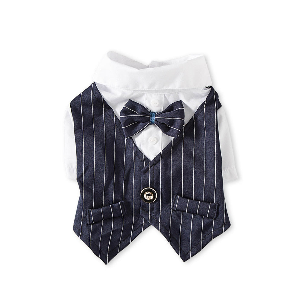 Roupa Pet Camisa Social com colete e gravata