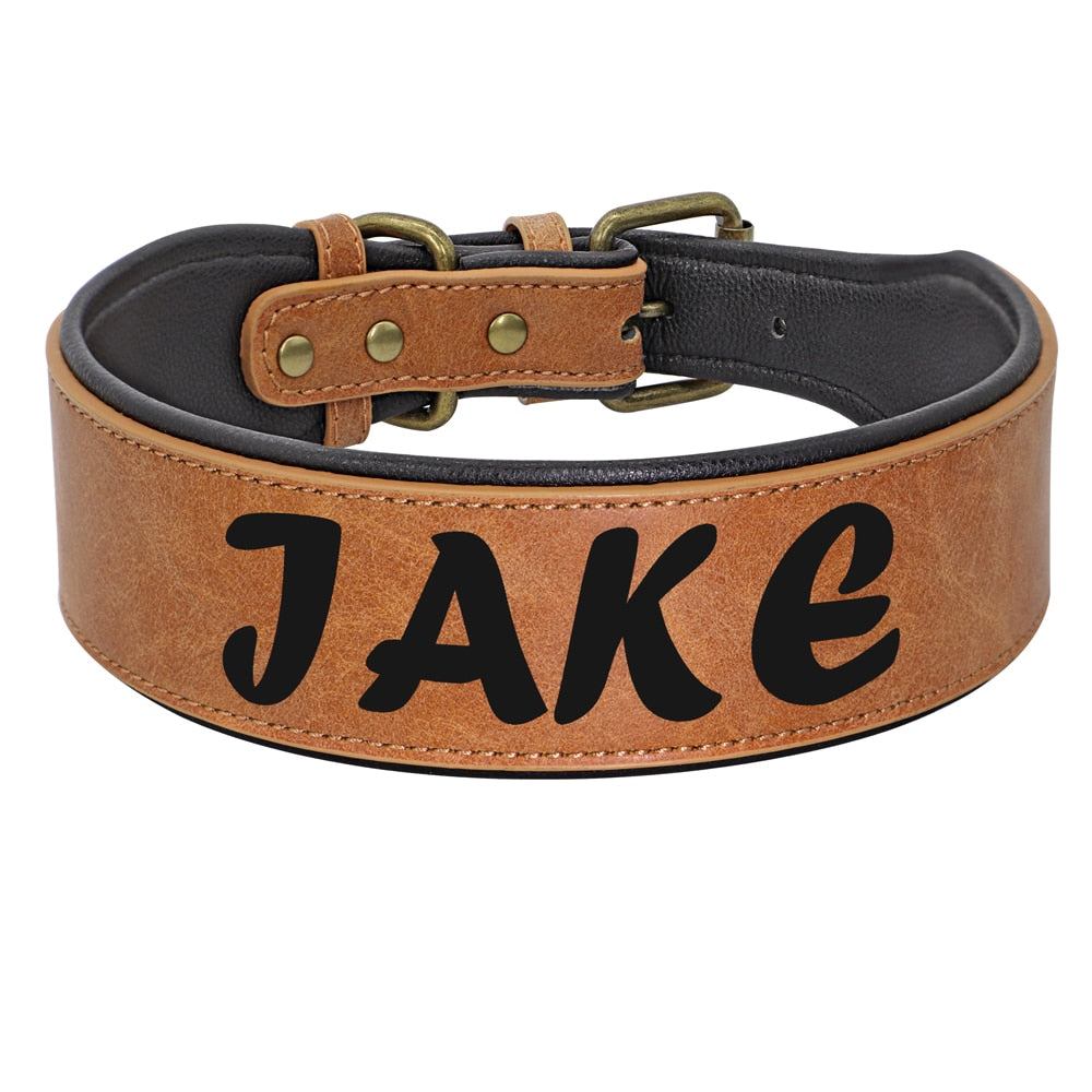 Coleira Personalizada para Cães de Médio, Grande e Gigante Porte | Abelhinhas Pets