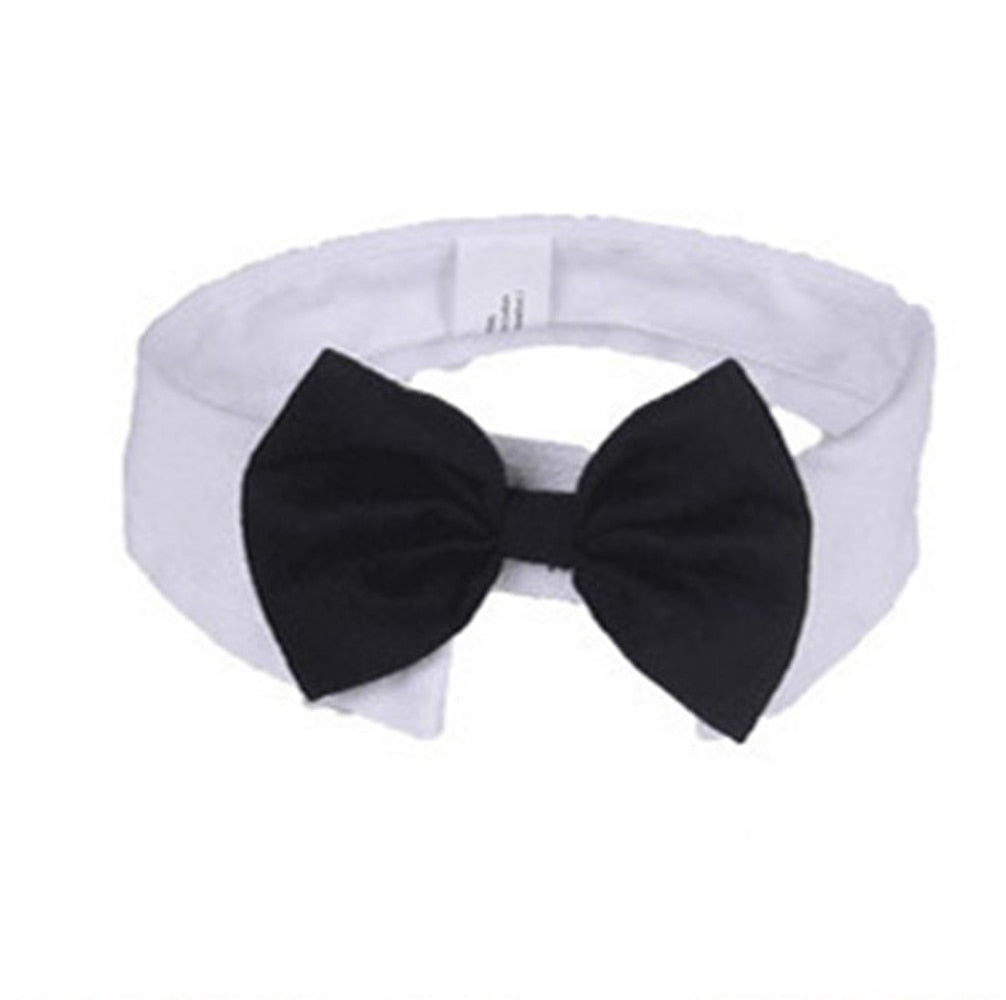 Gravata Borboleta para Pet Cães e Gatos