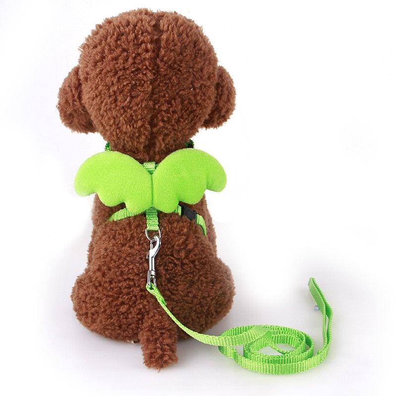 Peitoral Anjinho para Gato e cachorro - Kit com Guia