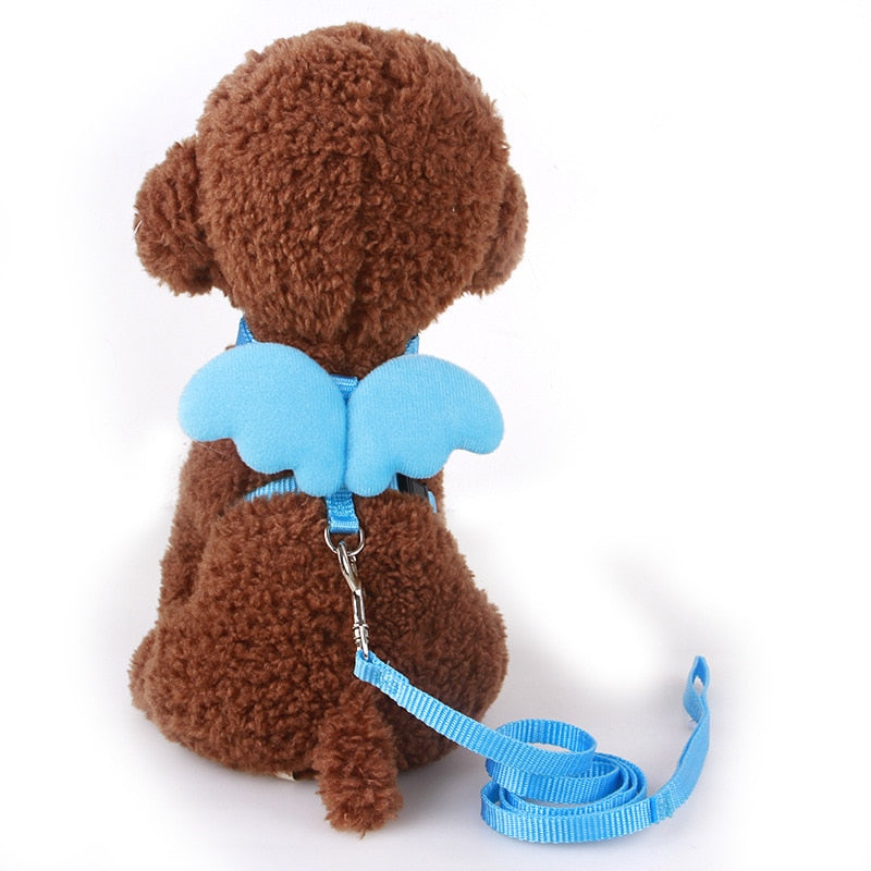 Peitoral Anjinho para Gato e cachorro - Kit com Guia