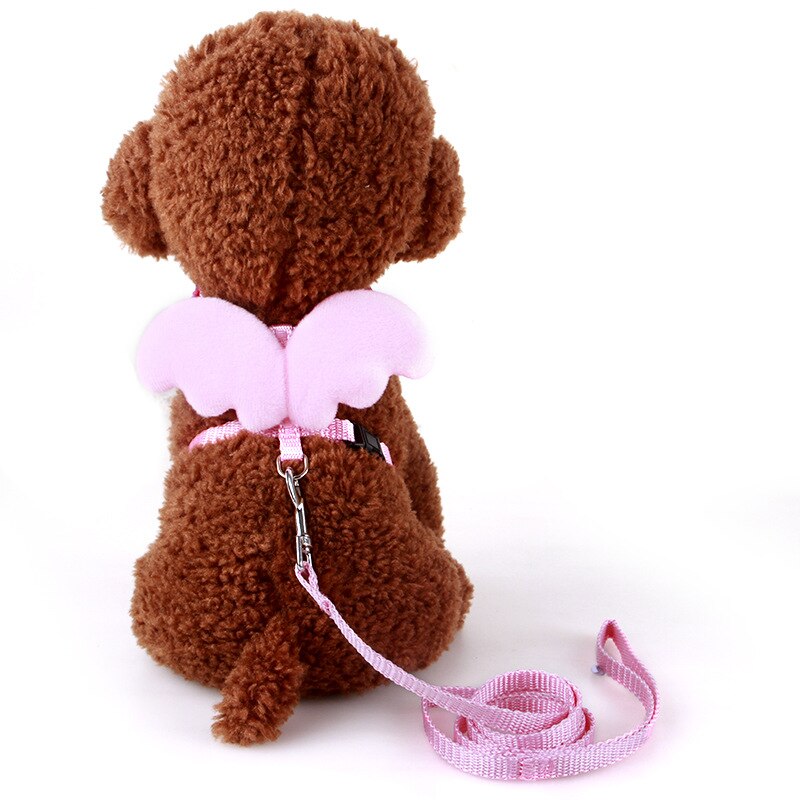 Peitoral Anjinho para Gato e cachorro - Kit com Guia