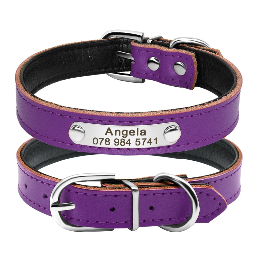 Coleira Personalizada de Identificação resistente para Cachorro e Gatos