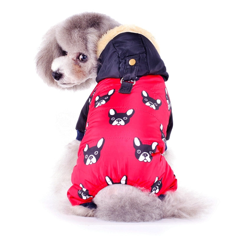 Roupa Pet Conjunto Inverno estampa de Bulldog