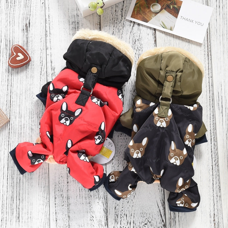 Roupa Pet Conjunto Inverno estampa de Bulldog